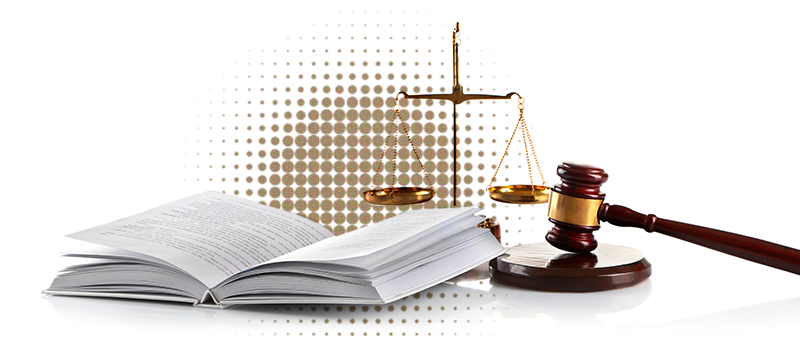 A desjudicialização da execução civil: papel dos serviços notariais e registrais